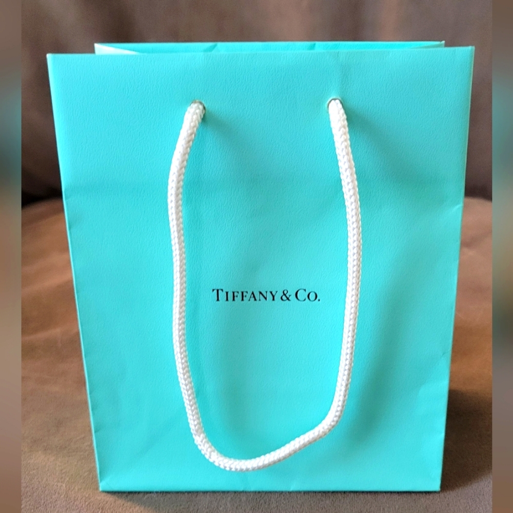 Small Tiffany & Co. Gift Bag